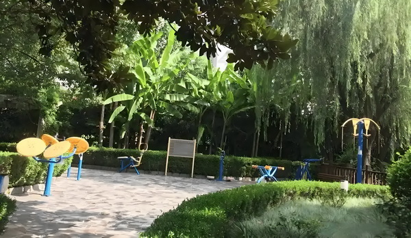 深圳落户申请_「女性互助」大潮中，为什么《花漾》要呈现女性关系中的「毒性」成分？ 信二创业网微维码扫描